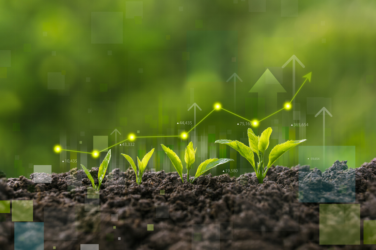 Consultation on Transition Equity Principles