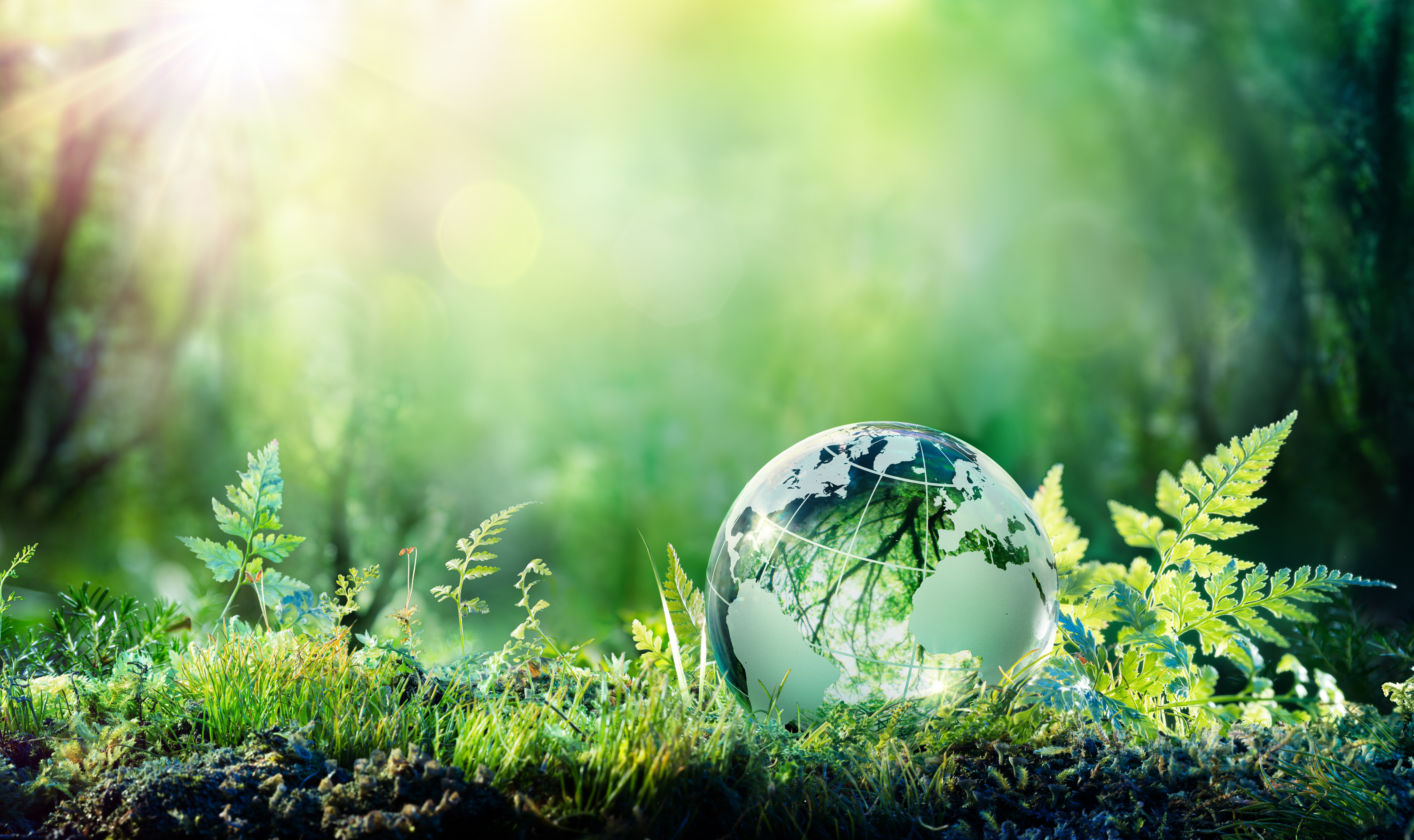 WFE 11th Annual Sustainability Survey