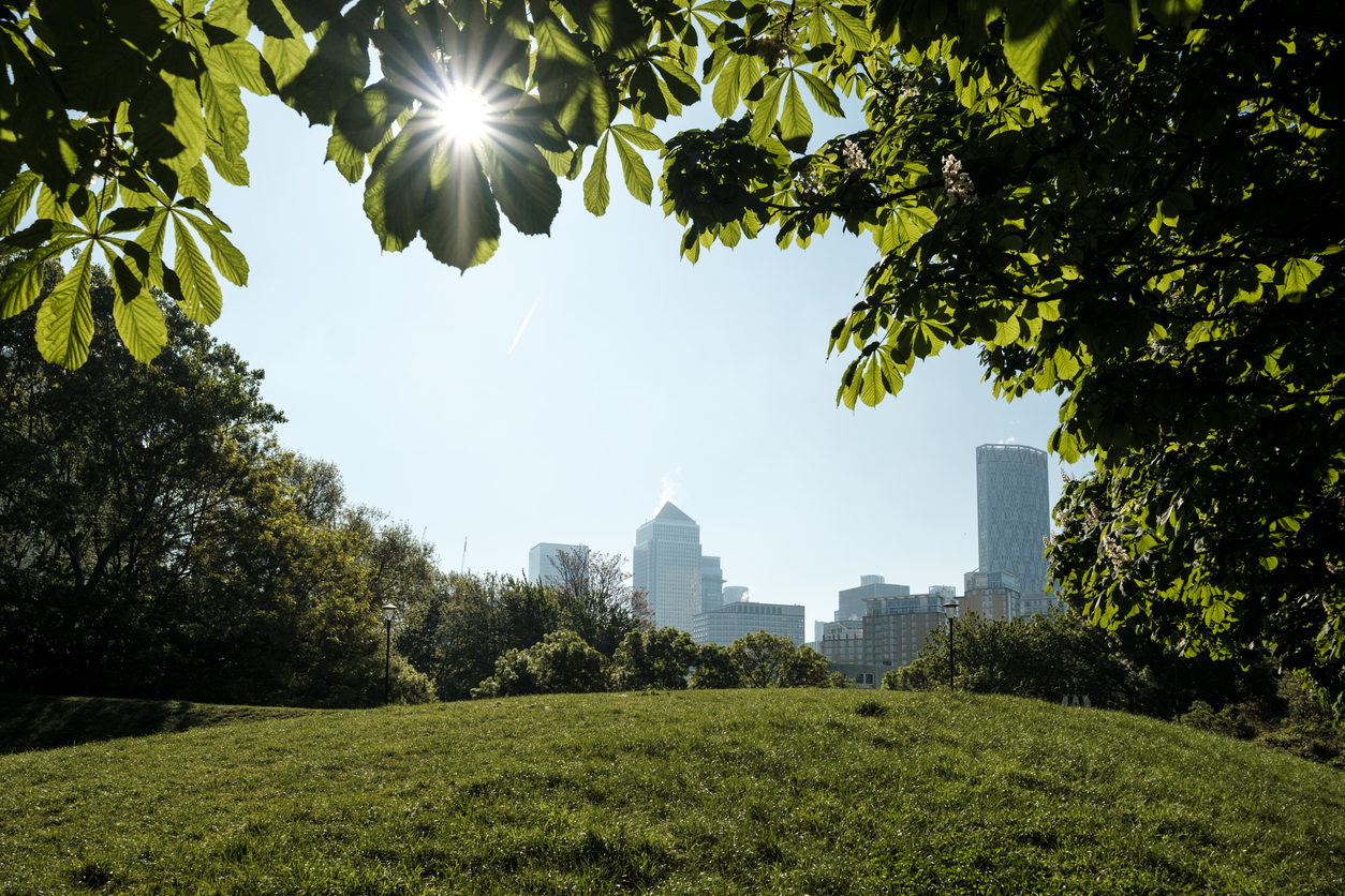 Transition Finance, Impact Valuation and Resilience  London Climate Action Week 2026 - Follow-up Summary