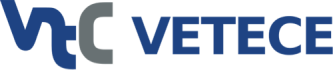 Vision Technology Consulting