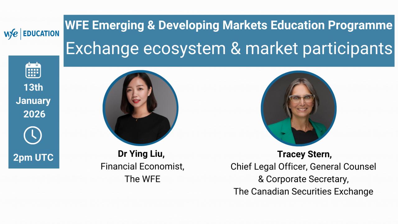 Exchange ecosystem & market participants option 1