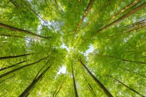 The WFE Green Equity Principles